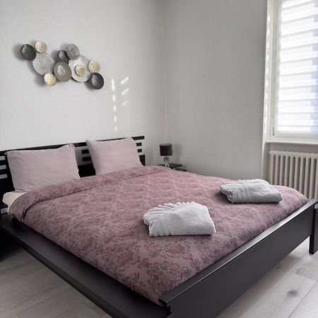 Appartement Des 3 Pays. 2 Mn De Bale+ Free Parking Saint-Louis  Eksteriør bilde