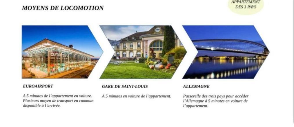 Appartement Des 3 Pays. 2 Mn De Bale+ Free Parking Saint-Louis  Eksteriør bilde