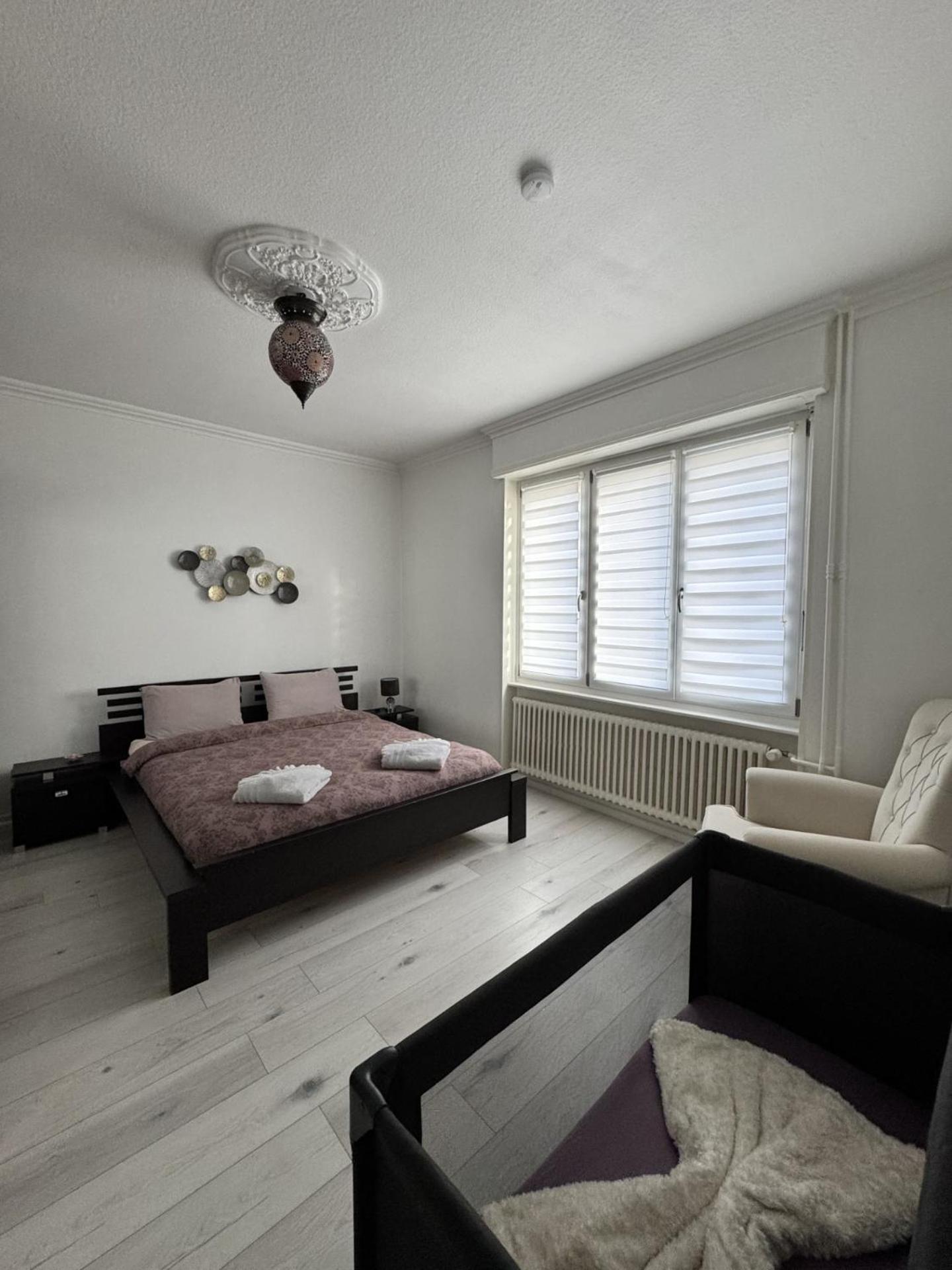 Appartement Des 3 Pays. 2 Mn De Bale+ Free Parking Saint-Louis  Eksteriør bilde