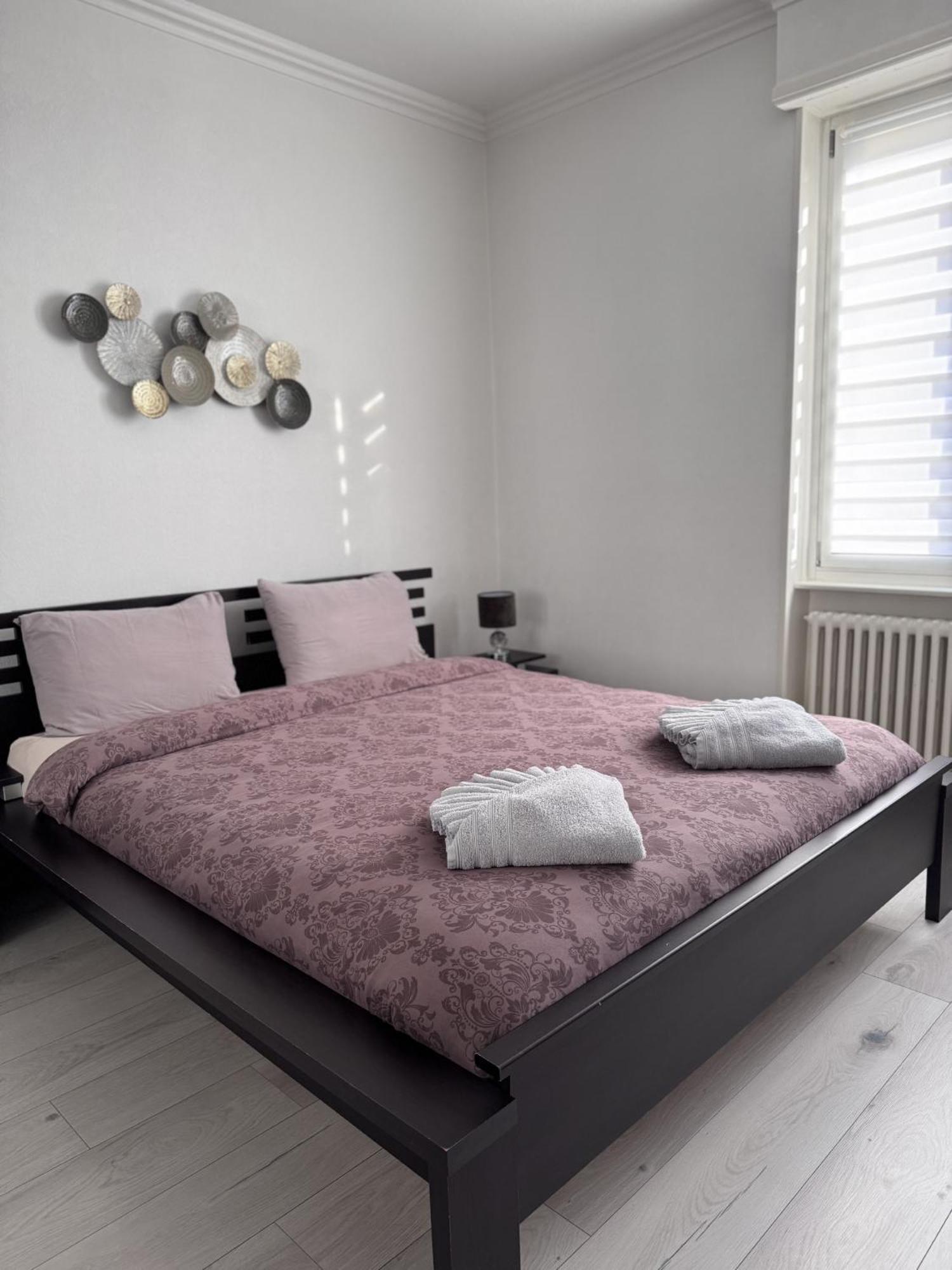 Appartement Des 3 Pays. 2 Mn De Bale+ Free Parking Saint-Louis  Eksteriør bilde